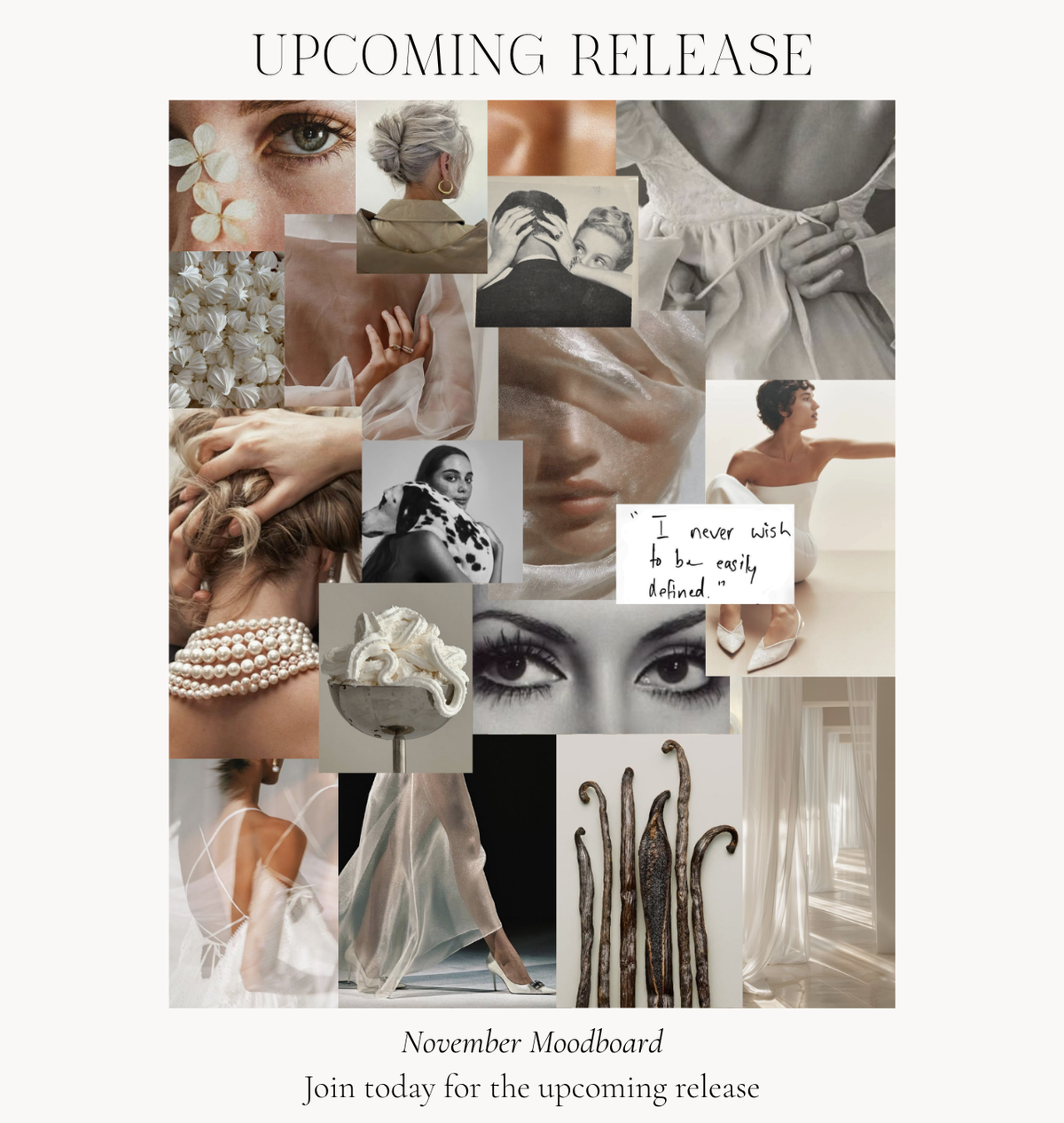 The Lingerie Subscription Club