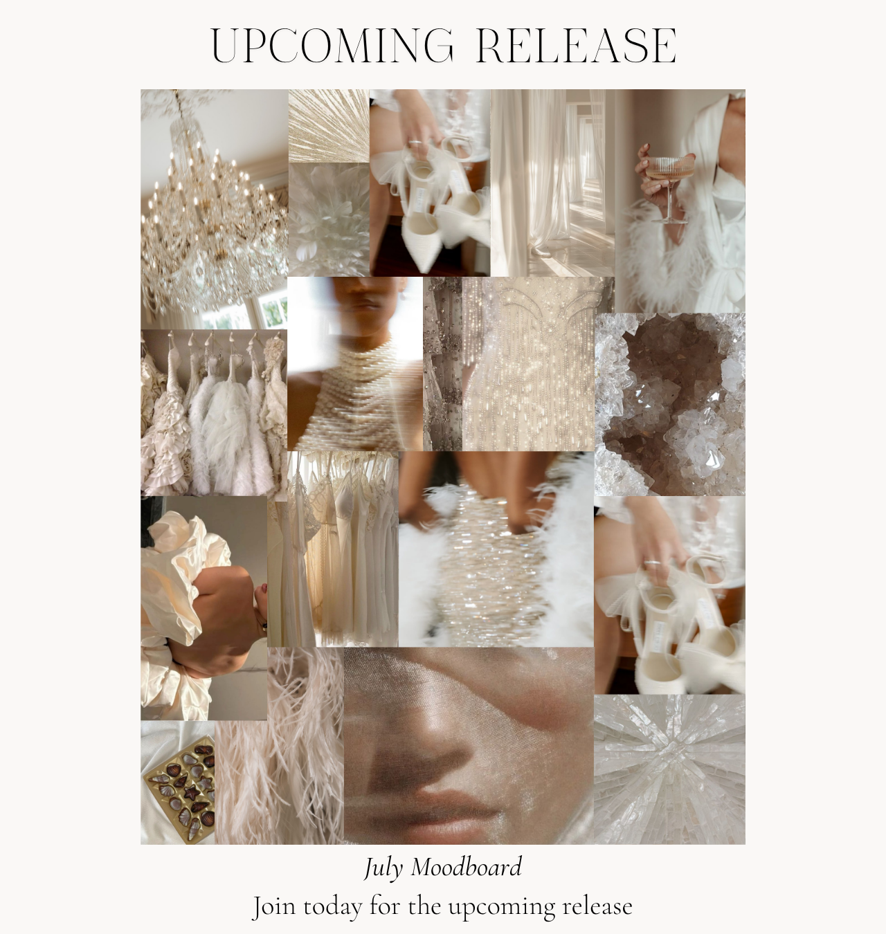 The Lingerie Subscription Club