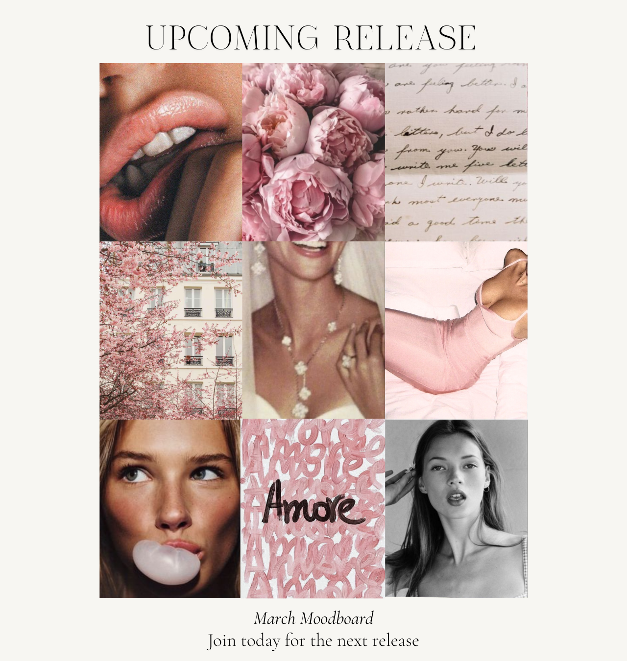 The Lingerie Subscription Club