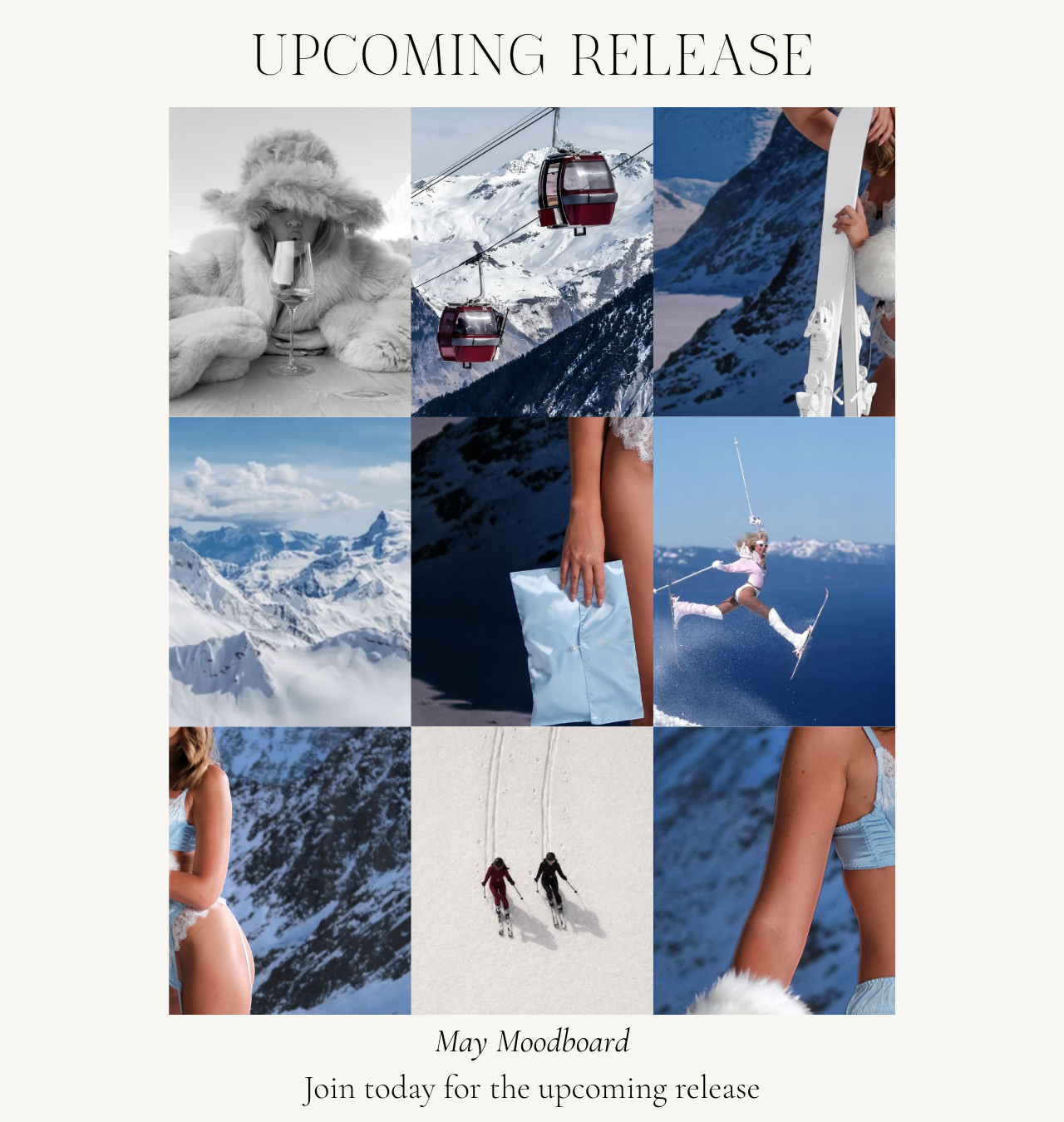 The Lingerie Subscription Club