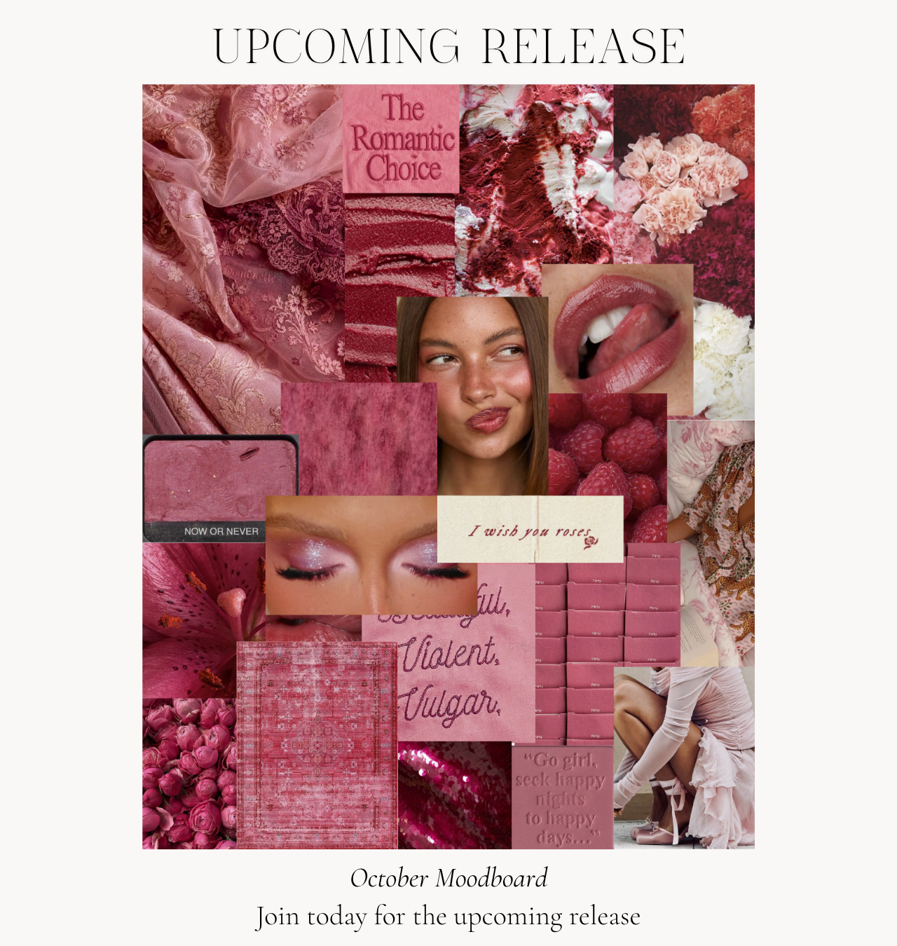 The Lingerie Subscription Club