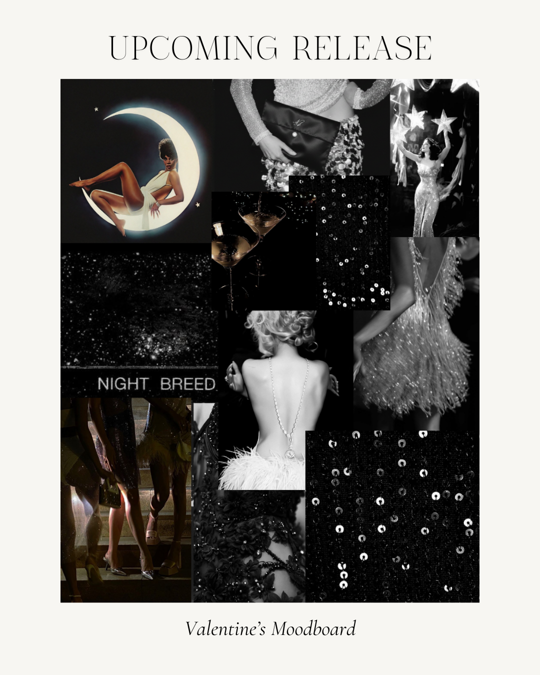 The Lingerie Subscription Club